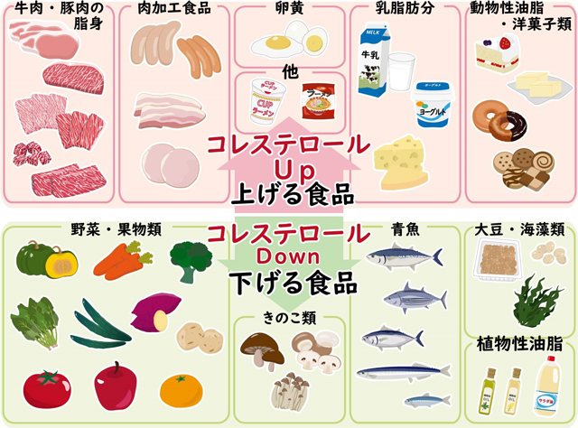 運動がコレステロールを下げるのに効果的な理由